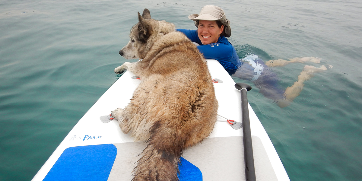 Person and a dog on a tandem stand up paddle board.