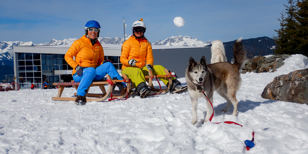 Couple on the sled, playing with the dog.