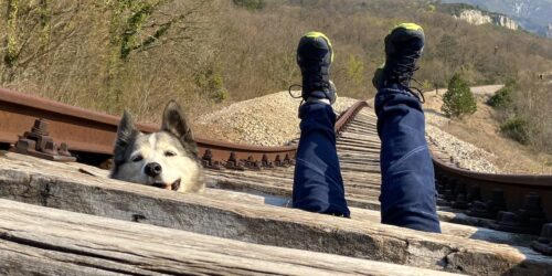 Dog and a person's legs emerging from gaps on the Drunken Railway in Istria, with mountainous scenery behind them.